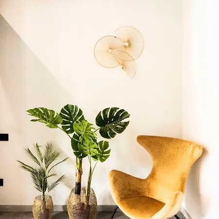 Séjour chez l'habitant Coliving Compostela *
